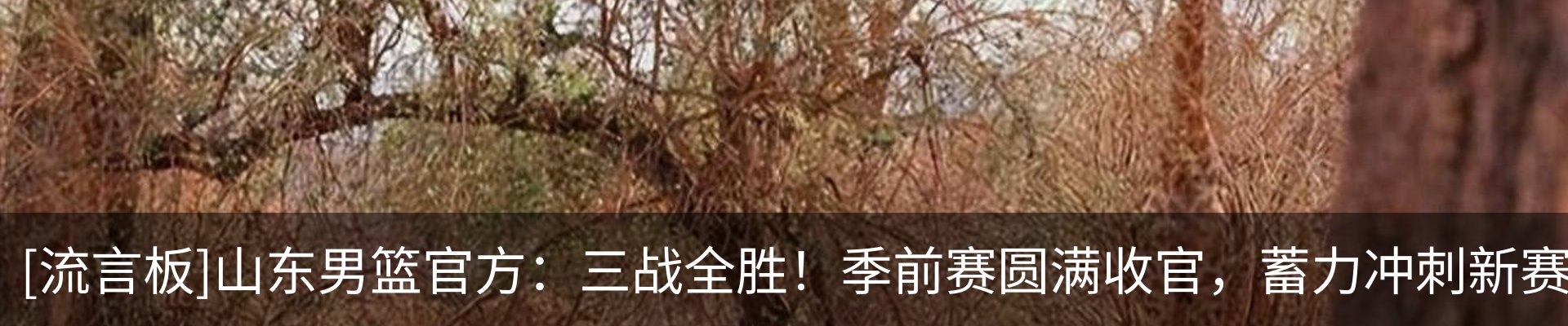 行业资讯